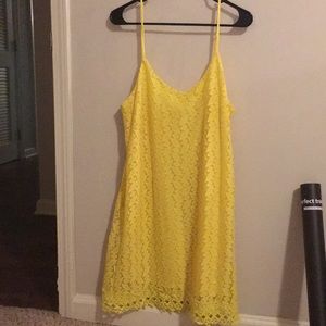 BB Dakota Yellow Dress